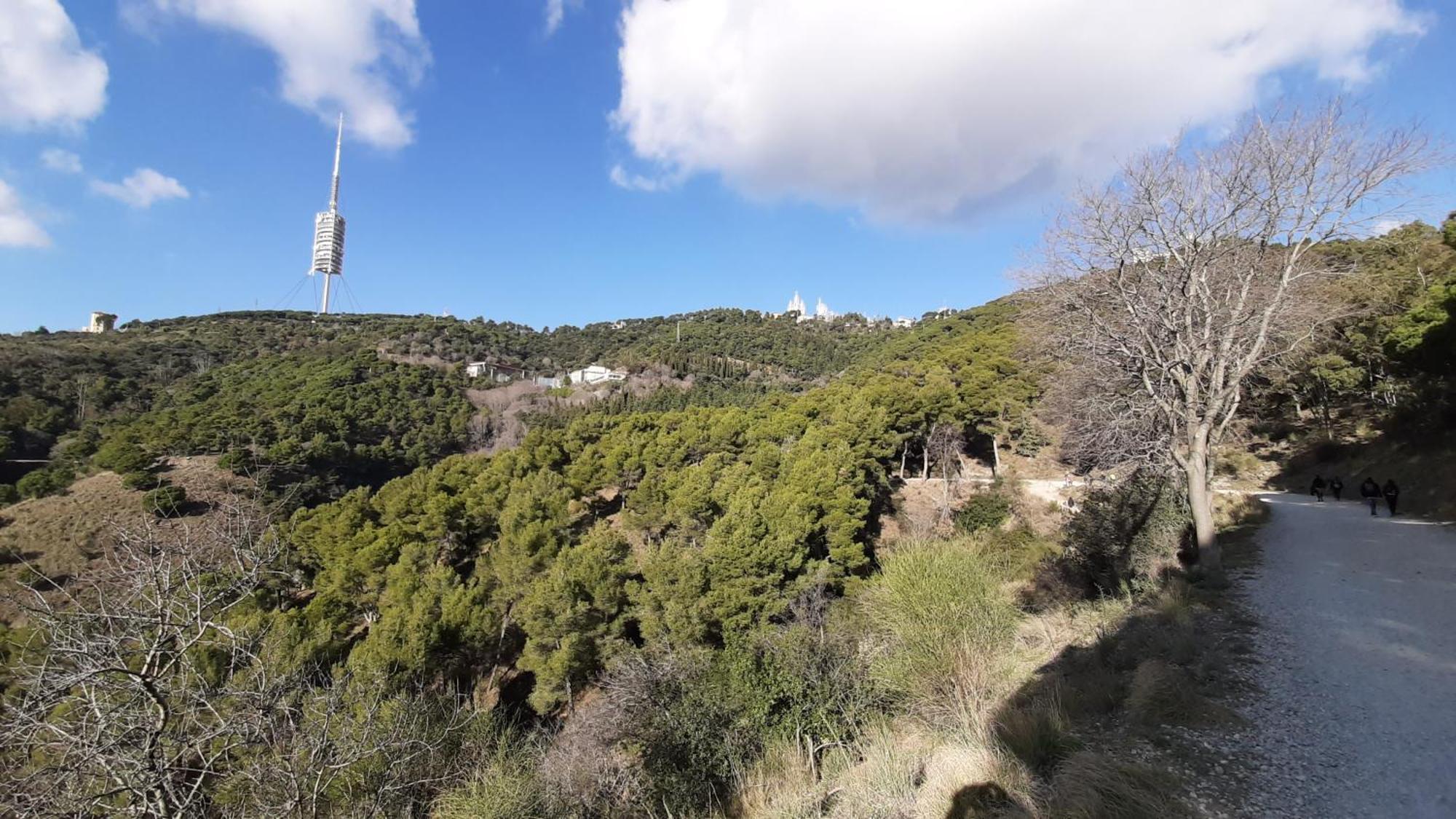Estudi Suite Desvern Sant Just Desvern Εξωτερικό φωτογραφία